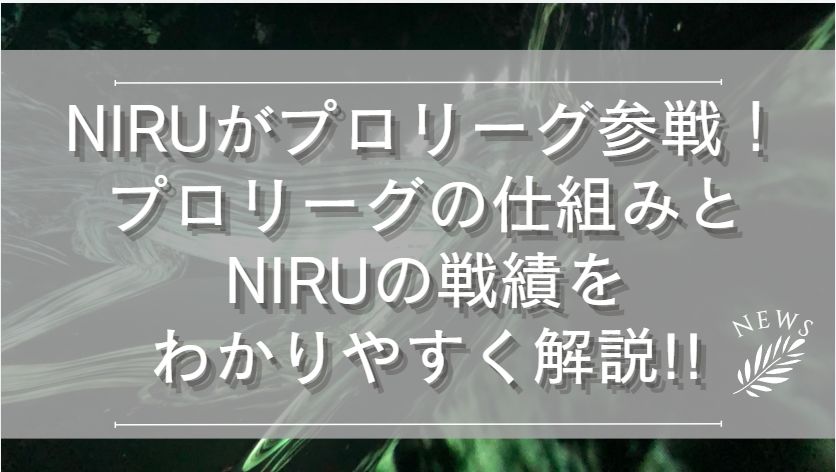 niruproai